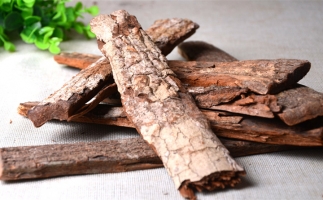 木材加工廠的廢棄物刨花能夠用來做什么？鋸末顆粒機告訴你