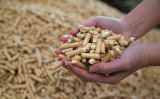 為什么越來越多人選鋸末顆粒機的生物質顆粒取暖？