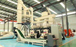 辦木屑顆粒燃料廠需要準備哪些工作？山東顆粒機廠家和您說說