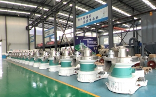 新手開顆粒廠，該選小型還是大型木屑顆粒機？